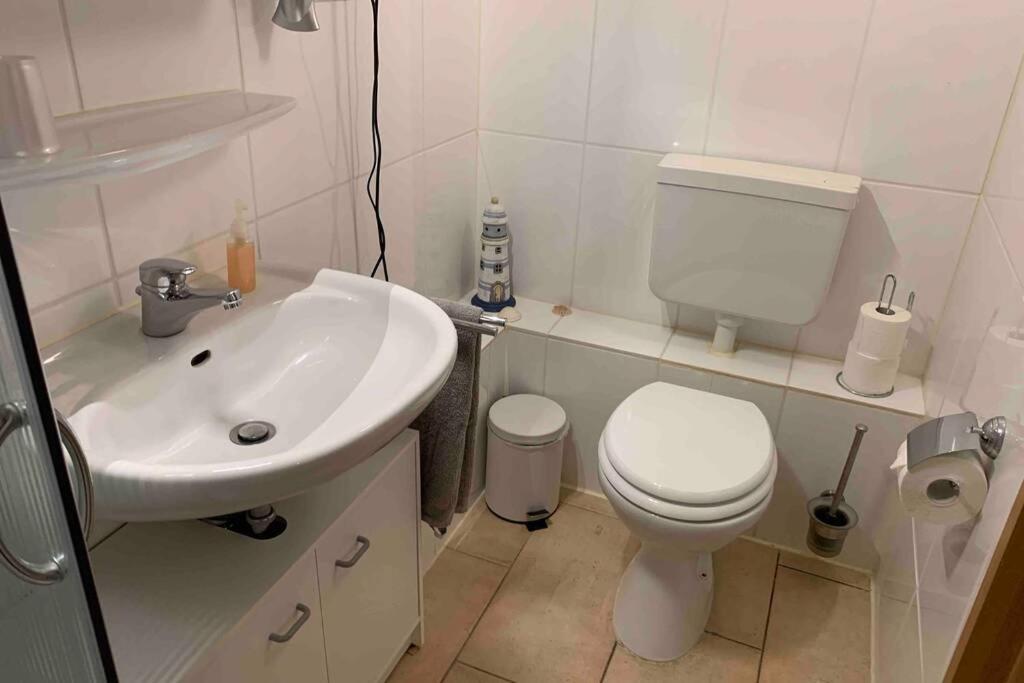 Ferienwohnung Schmidt Rosengarten  エクステリア 写真